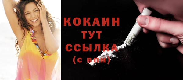 мет Ладушкин