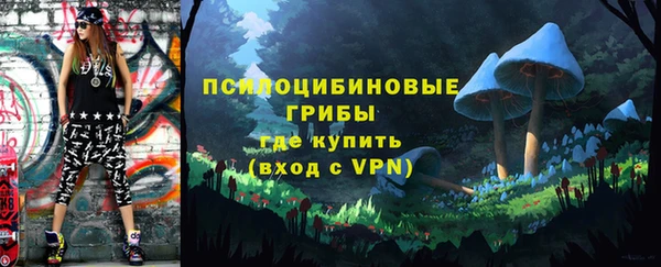 мет Ладушкин