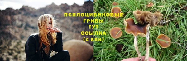 мяу мяу кристалл Лабытнанги