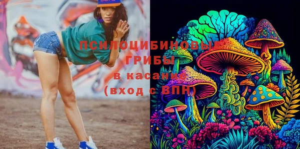 мет Ладушкин