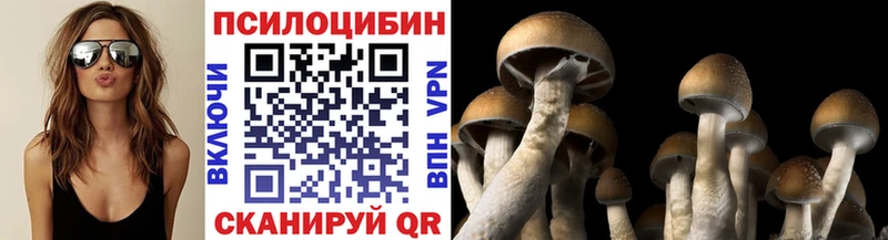 где найти наркотики  Владимир  Псилоцибиновые грибы GOLDEN TEACHER 